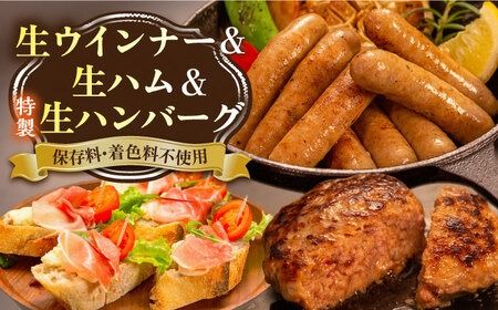 特製 生ハンバーグ 生ハム 生ウインナー 3種 セット 糸島市 / 志摩スモークハウス [AOA028] 肉 加工品