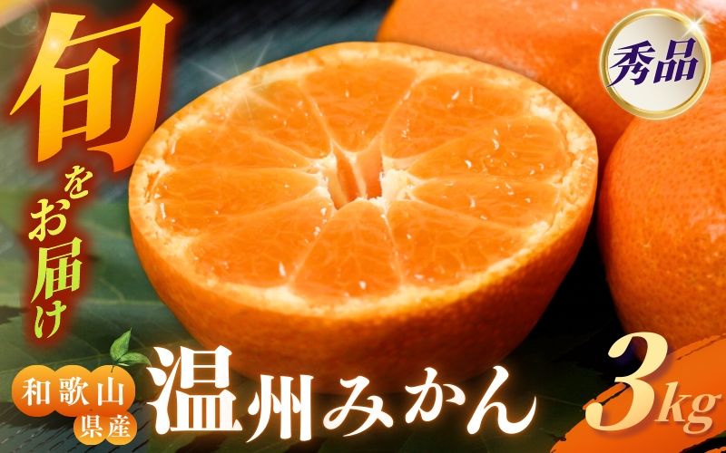 [先行予約]秀品 季節のみかん(極早生・早生・中生・晩稲) 3kg [S~2Lサイズおまかせ][2025年10月中旬〜2026年2月下旬までに順次発送][味好農園]/みかん 蜜柑 柑橘 フルーツ 果物