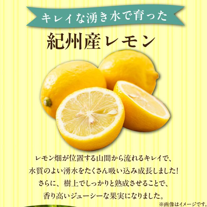 【2027年先行予約】【訳あり・ご家庭用】完熟 レモン 10kg 皮まで使用可能（栽培期間中農薬不使用）_EA6025n