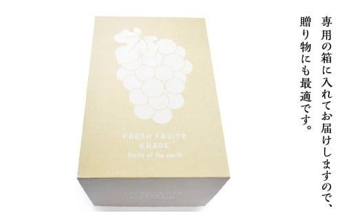 ハウス栽培 の シャインマスカット 2房 ( 約1kg～1.2kg ) 令和8年産 先行予約 ぶどう ブドウ 葡萄 フルーツ [EK002ci]