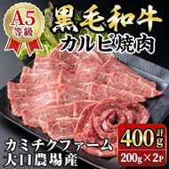 isa690 鹿児島県(カミチクファーム 大口農場)産 黒毛和牛カルビ焼肉(計400g・200g×2パック) 黒毛和牛 カルビ 焼肉 和牛 国産牛 高級肉 A5 ランク 雌牛 霜降り 旨味 口どけ 牛肉 焼肉用 BBQ バーベキュー アウトドア 冷凍 小分け 【お肉の直売所 伊佐店】