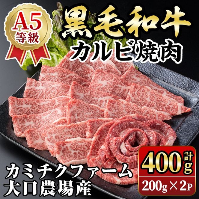 isa690 鹿児島県(カミチクファーム 大口農場)産 黒毛和牛カルビ焼肉(計400g・200g×2パック) 黒毛和牛 カルビ 焼肉 和牛 国産牛 高級肉 A5 ランク 雌牛 霜降り 旨味 口どけ 牛肉 焼肉用 BBQ バーベキュー アウトドア 冷凍 小分け 【お肉の直売所 伊佐店】