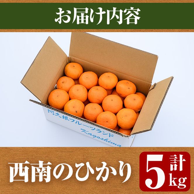 ＜先行予約受付中！2026年12月以降順次発送予定＞＜期間・数量限定＞西南のひかり(約5kg) 国産 鹿児島県 阿久根市 果実 果物 フルーツ 柑橘 みかん ミカン デザート 酸味 甘味 期間限定 数量限定【桐野柑橘株式会社】akn070-07
