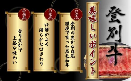登別牛 堪能セット[定期便3回お届け]（サーロインステーキ、肩ロースすき焼き しゃぶしゃぶ用、ハンバーグ）