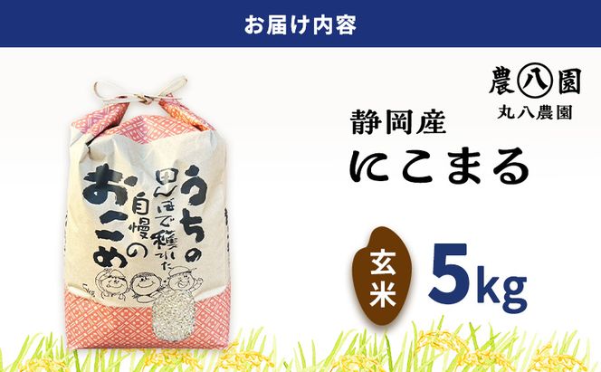 【予約】令和8年度産 静岡産 にこまる 玄米 5kg 米 コメ にこまる 袋井市 静岡県