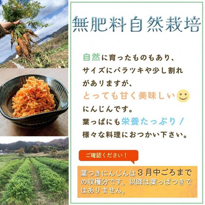 人参 4kg【期間限定】自然栽培の甘い 葉付き人参 京都府・亀岡産 かたもとオーガニックファームよりお届け 《訳あり サイズ不揃い にんじん 国産 京都産 栽培期間中農薬不使用 産地直送》 ※2025年12月から順次発送 ※離島への発送不可