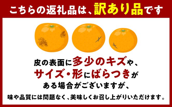 【先行予約】 【訳あり】 不知火 デコみかん 約7kg しらぬい みかん 柑橘 くだもの 果物 フルーツ 旬 熊本県 八代市 【2027年1月中旬より順次発送】