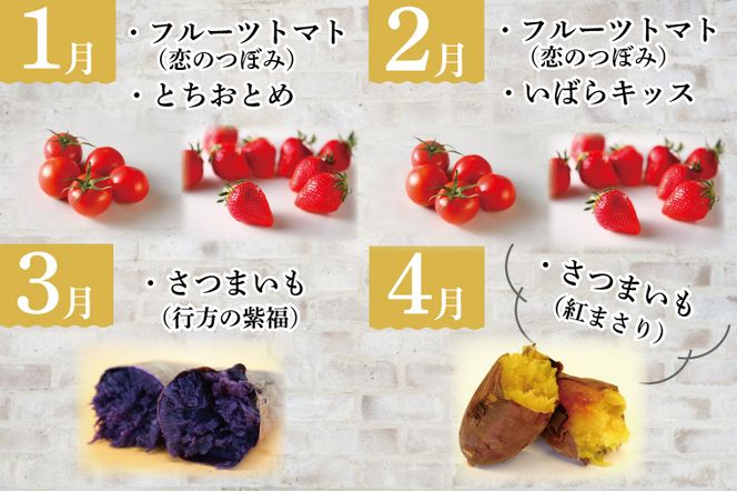 AE-55【12ヶ月定期便】JAが選ぶ！さつまいも好きのための行方まるごと旬鮮便