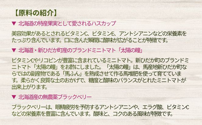 北海道産 ハスカップ ／ トマト＆レモン ／ ブラックベリー 発酵酢 SUNOMO 希釈タイプ 計 1125ml （ 375ml × 3本 ）飲むお酢 果実酢 フルーツ ビネガー