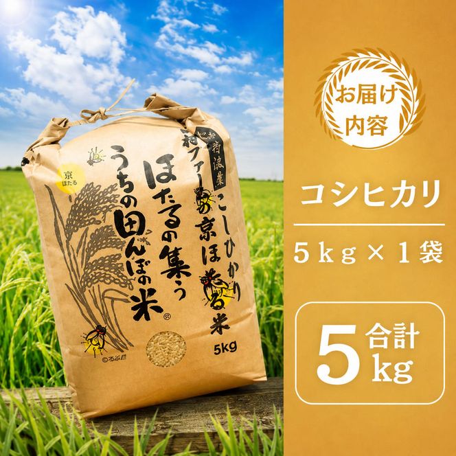 令和7年産 京都丹波産 コシヒカリ 10kg 西村ファーム 京ほたる米