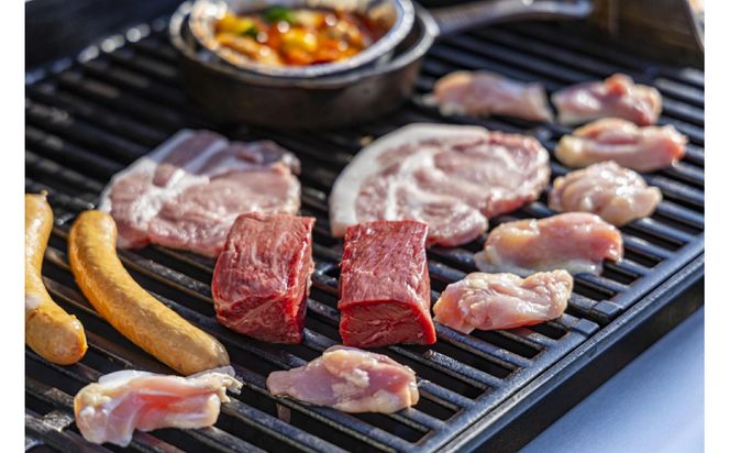 鳥取砂丘でグランピング体験 グランドーム砂優 ご宿泊割引券 2万円分 312011_FA001