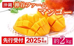 【先行受付】【2025年発送】神谷ファームのマンゴー（家庭用）約2Kg