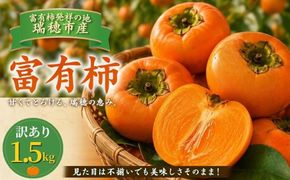 富有柿 訳あり 1.5kg | 柿 富有柿 かき カキ フルーツ 果物 スイーツ おやつ 訳あり 訳アリ わけあり 規格外 家庭用 家用 不揃い ふぞろい 産地直送 5000円 岐阜 瑞穂市 送料無料 ※2026年11月～発送