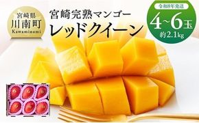 【令和8年発送】宮崎県産完熟マンゴー　「レッドクイーン」4～6玉 【 果物 フルーツ マンゴー 宮崎県産 完熟マンゴー みやざきマンゴー 先行予約 数量限定 期間限定 】 [C03214]
