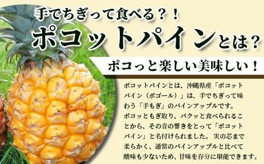 《2026年4月～7月順次発送》【先行受付】希少！濃厚！「枝先完熟・てのひらパイン」ピーチ・ポコット食べ比べセット【産地直送 沖縄県 石垣島 農家直送 パイン フルーツ 離島のいいもの 沖縄いいもの石垣島 】OI-4