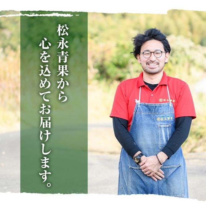 ＜先行予約受付中！2026年5月下旬以降順次発送予定＞訳あり！鹿児島県産 南高梅(約4kg) 国産 果物 梅 うめ ウメ ナンコウウメ 和食 梅干し 梅酒 梅シロップ 訳アリ サイズ混合 期間限定【松永青果】akn053-09