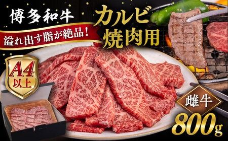 【A4～A5 等級】博多和牛 カルビ 焼肉用 800g 糸島市 / ヒサダヤフーズ [AIA051] 黒毛和牛 冷凍配送 焼肉用