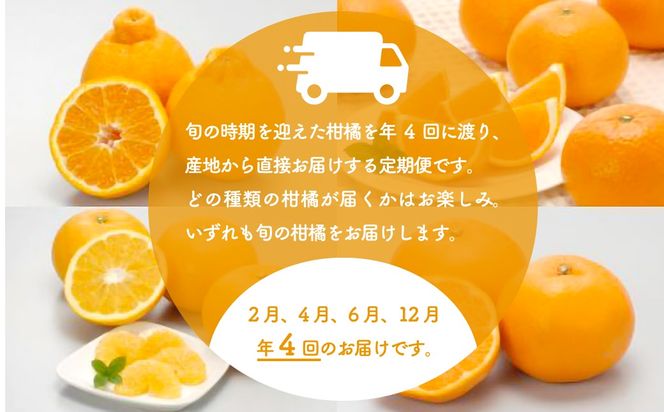【定期便】2026年度 佐田岬の柑橘定期便（年4回）柑橘 定期 各5kg 愛媛県産（12月、2月、4月、6月発送）※離島への配送不可 IKTBD018
