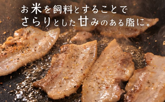 茨城県産のお米を食べて育った 常陽さん家の 美味豚 (SPF豚) 豚バラ 焼肉用 2kg (龍ヶ崎市 共通返礼品） 国産 バラ バラ肉 ロース 豚 SPF SPF豚 豚肉 焼肉 バーベキュー しゃぶしゃぶ 肉 にく 肉類 ポーク こだわり やわらか お米育ち 安心 安全 人気 お取り寄せグルメ お取り寄せ グルメ おすすめ 豚丼 照り焼 [BW003us]