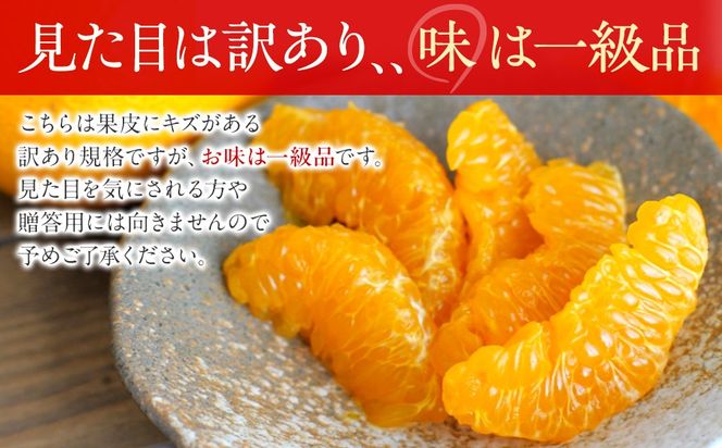 訳あり 春峰 2.5kg M～2Lサイズおまかせ 高石垣ファーム   K015