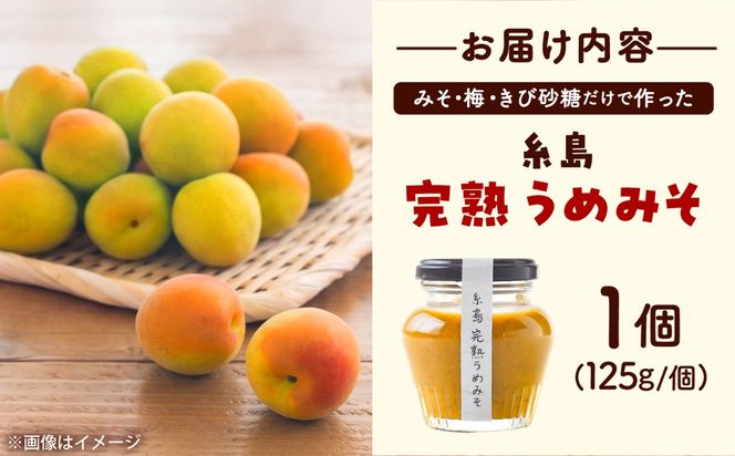 糸島完熟うめみそ 1個 糸島市 / 糸島げんき工房[AKR003]