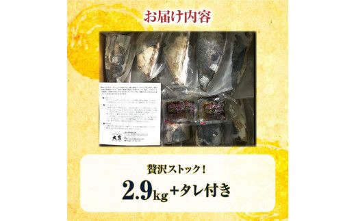 かつおのたたき 訳あり 鰹のたたき 2.9kg カツオのたたき 鰹のたたき タタキ 訳アリ 不揃い 規格外 数ブロックに小分け 小分け 刺身 刺し身【株式会社大熊】 [BQAA011] 