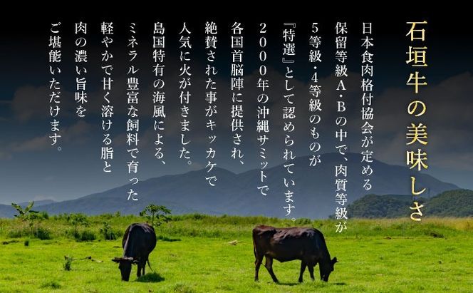 【2025年11月以降順次発送】希少な特選石垣牛をご家庭で！！肉の旨味あふれる上赤身（ウチモモ、シンタマ、ランプ）ステーキ肉　合計400g