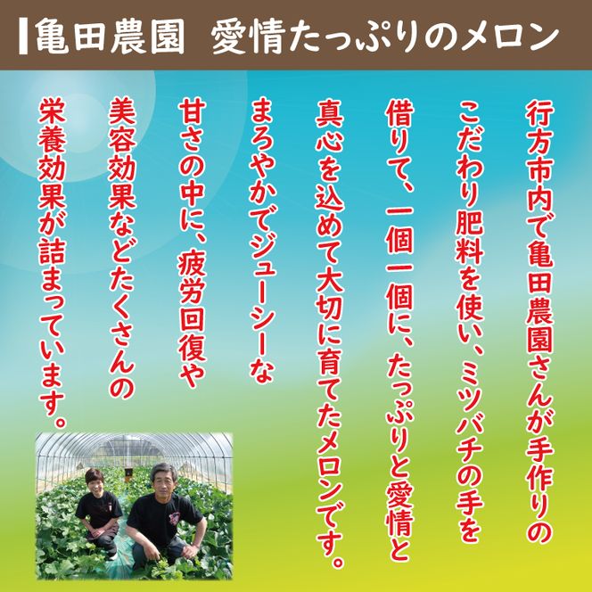 【2026年5月中旬より順次発送】★数量限定★お店で買えない逸品！亀田農園のまごころメロン5kg(4～6玉)｜果物 くだもの メロン ルピアレッド イバラキング あやひめ 数量限定 茨城県 行方市（B-1-1）