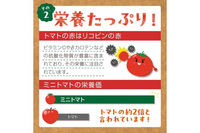 【先行予約】訳あり 宝石のような輝き！カラフルミニトマト 約1.5kg（秋冬）（2026年10月上旬～発送）　MY00004
