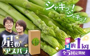 【5回定期便】【星のアスパラ】春＆夏 の グリーン アスパラガス 約1kg / アスパラ 春野菜 野菜 / 南島原市 / ほしのYA[SEY017]