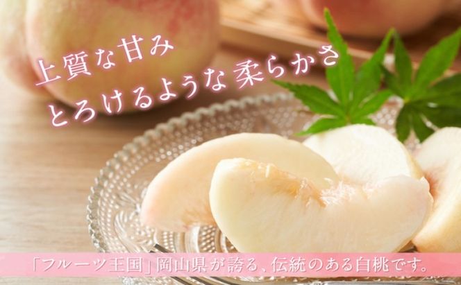 桃 【2026年 先行予約】 晴れの国 おかやま の 白桃 2kg(5玉～7玉) もも モモ 岡山県産 国産 フルーツ 果物 ギフト [№5735-2129]