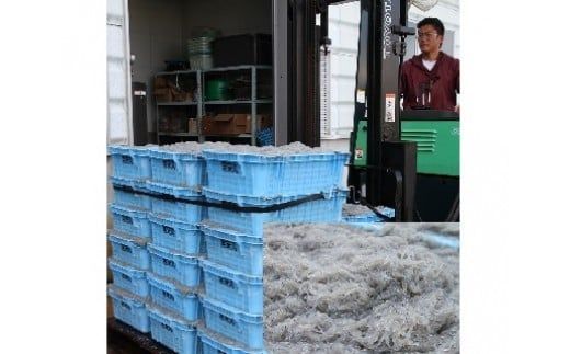 【半年定期便 隔月3回】しらす屋のしらす干し　500ｇ×3回お届け 【へきなん優良みやげ推奨品】 H006-111