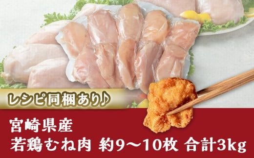 宮崎県産若鶏むね肉(皮なし)3kg_AA-9214