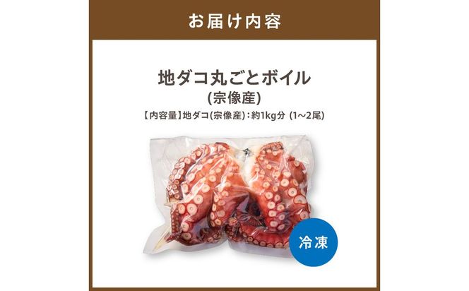 宗像産地ダコ丸ごとボイル【約1kg】【マルケイ】_HA0997