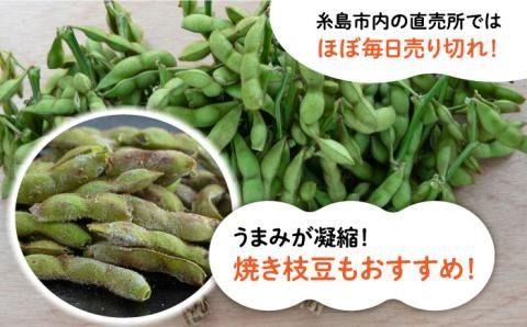 【期間限定！】黒大豆枝豆【幸】1.2kg （400g×3袋） 糸島市 / 染井野菜園[AZM001]