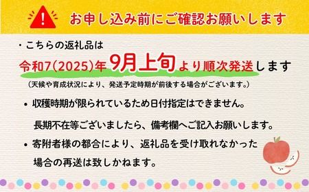 【先行予約丨2026年9月上旬より順次発送】サンつがる【約2.5kg(6〜12玉)】(At-003)丨長野県 飯山市 おすすめ ランキング おいしい 高評価 大人気 先取り 産地直送 りんご