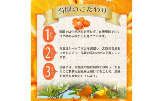 【2027年1月発送予約】 ご家庭用 こだわりの有田みかん 約5kg＋150g(傷み補償分)  光センサー選別 農家直送 / みかん ミカン 有田みかん 温州みかん 柑橘 フルーツ 果物 くだもの 旬 人気 みかん先行予約 家庭用 和歌山【nuk160-01B】