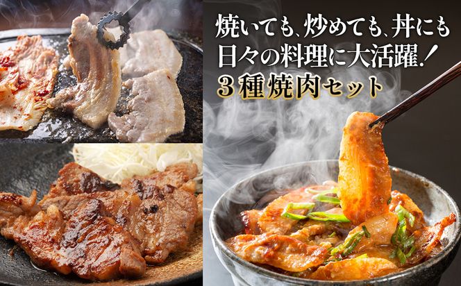 【3ヶ月連続お届け】希少部位・豚トロ入り！宮崎県産 豚焼肉3種定期便 合計1.8kg 真空パック 200gずつの超小分けで便利！