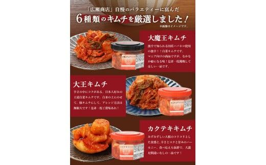 富士の湧水仕込みキムチ彩りセット(レギュラー6種類) 白菜キムチ カクテキ オイキムチ メンマキムチ トマト 大魔王キムチ 大根 胡瓜 山梨 富士吉田