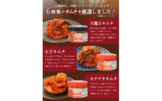 キムチ 詰め合わせ 6種類 キムチ彩りセット 食べ比べセット 白菜キムチ カクテキ オイキムチ メンマキムチ トマト 大魔王キムチ 大根 胡瓜 山梨 富士吉田