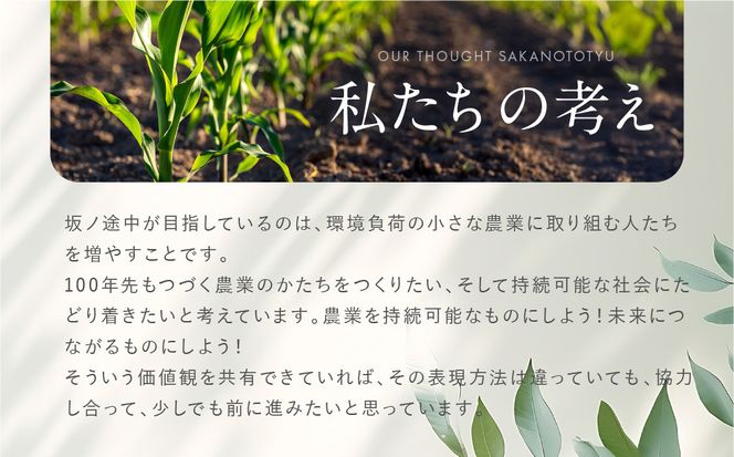 【坂ノ途中 海ノ向こうコーヒー】ドリップバッグコーヒー 4種詰合せギフトセット〈20個入〉［ 京都 珈琲 ブランド ドリップコーヒー 人気 おすすめ 珈琲 コーヒー ギフト プレゼント 贈答 お取り寄せ 通販 送料無料 ふるさと納税 ］ 261009_A-UY005