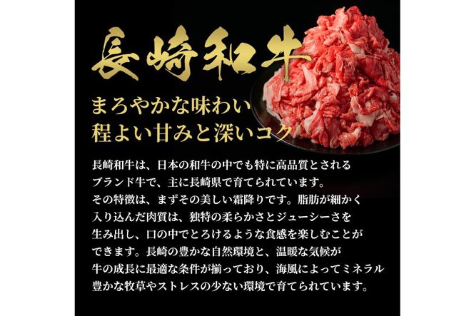 AI260 長崎和牛 すき焼き しゃぶしゃぶ 切り落とし 300g [ 肉 和牛 牛肉 Giverichホールディングス 長崎県 島原市 ]