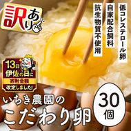 isa317 【伊佐の日・寄附額改定】《訳あり・毎月数量限定》いちき農園のこだわり卵(計30個・15個入り×2パック) 平飼い 鶏 たまご 低コレステロール 抗生物質不使用 卵かけご飯 TKG 訳あり【いちき農園】