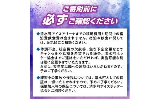 アイスホッケーの町清水 世界基準の育成環境 3日間合宿プラン_S007-0001