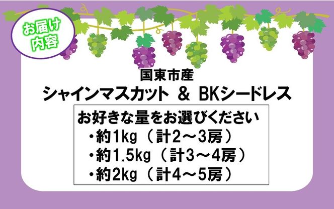 テレビで紹介されました！【先行予約】【令和8年発送】農家直送！ 新鮮！ 朝づみぶどう シャインマスカット & BKシードレス 種なし 1kg 1.5kg 2kg フルーツ 果物 贈答 大分県産 採れたて_2658R