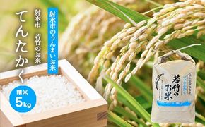 【射水市】【射水の美味しいお米】若竹のお米 R8年度産 てんたかく5kg【精米】 ※離島への配送不可 ※2026年9月上旬～9月下旬頃に順次発送予定