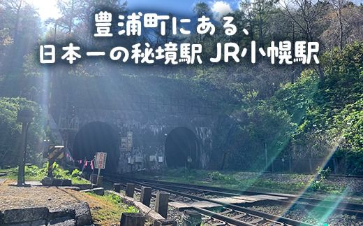 小幌駅周辺散策ツアー（5人用） ふるさと納税 人気 おすすめ ランキング 体験 イベント 小幌駅 散策 ガイド 歴史 見学 5人 北海道 豊浦町 送料無料 TYUL029