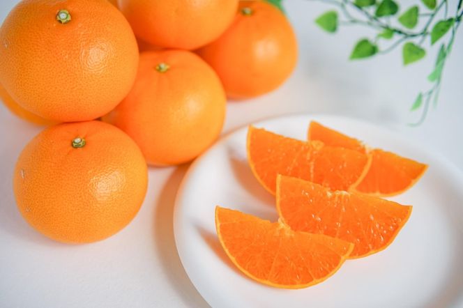 お試し規格 柑橘の大トロ ハウス せとか ちょっと 傷あり 2玉 または 3玉入 手さげ箱 南泰園 和歌山 有田 BS197