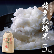 【令和8年産】【産地直送】特別栽培米 宮津産丹後コシヒカリ「つやっ娘」5kg 米 こしひかり 精米 コシヒカリお米 myz06 myz11 myz19