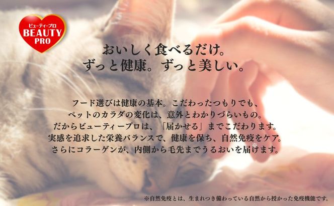 ビューティープロ キャット 下部尿路の健康維持 1歳から チキン味 1.4kg ｘ8(ケース単位) キャットフード